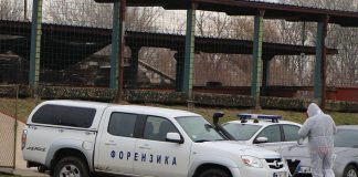 Krv, kiselina i nestalo telo: jezivi detalji likvidacije na Senjaku Policija i istražitelji na terenu tokom potrage za telom Aleksandra Nešovića