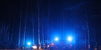 Krvavi tragovi, sočna kiselina i 200 inspektora: potraga za Nešovićem se nastavlja Policijska potraga i uviđaj na području Senjaka u Beogradu