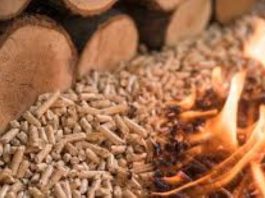 Stovarište peleta i kupci koji rezervišu količine za zimu
