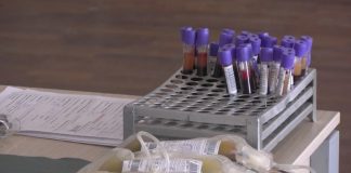Šesnaest Novopazaraca dalo krv, lekari upozoravaju na slabiji odziv Građani u Novom Pazaru daruju krv u okviru akcije dobrovoljnog darivanja