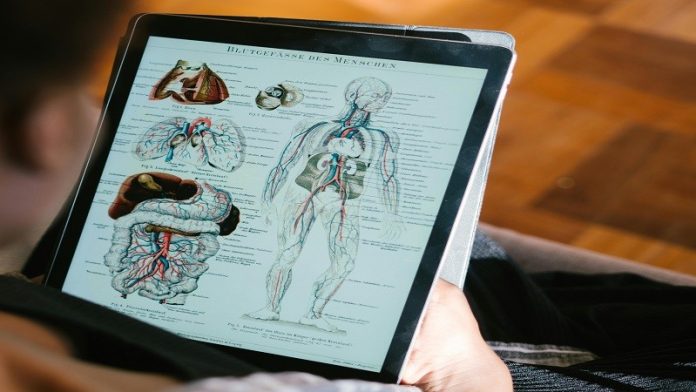 Gastroenterolog upozorava na simptome zapaljenskih bolesti creva u Novom Pazaru