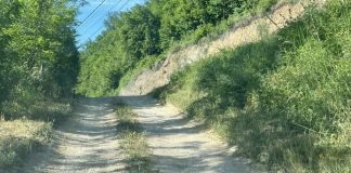 (FOTO) Rupa, blato i prašina: meštani Novopazarske banje traže hitnu reakciju nadležnih Meštani Novopazarske banje ukazuju na neasfaltirani put sa rupama i blatom