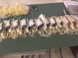 Akcija dobrovoljnog davanja krvi u Domu omladine