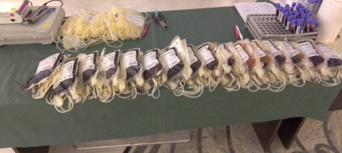 Akcija dobrovoljnog davanja krvi u Domu omladine