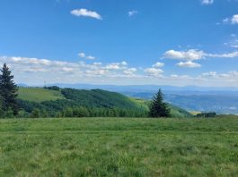 Sunčano i toplo vreme tokom prvog dana leta u Srbiji