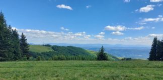 Leto zvanično stiglo: prvi dan donosi do 35°C Sunčano i toplo vreme tokom prvog dana leta u Srbiji