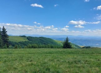 Leto zvanično stiglo: prvi dan donosi do 35°C Sunčano i toplo vreme tokom prvog dana leta u Srbiji