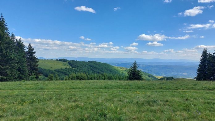 Sunčano i toplo vreme tokom prvog dana leta u Srbiji