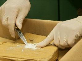 Zaplena kokaina u Mađarskoj: rekordnih 522 kilograma