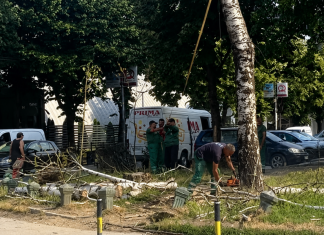 Uklonjena četiri stabla kod Autobuske stanice u Novom Pazaru Uklonjena stabla kod Autobuske stanice u Novom Pazaru