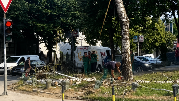 Uklonjena stabla kod Autobuske stanice u Novom Pazaru