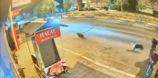 (VIDEO) Novi Pazar: psi lutalice jurili ženu kod Jakljanskog mosta, automobil oštećen Psi lutalice na kolovozu kod Jakljanskog mosta u Novom Pazaru