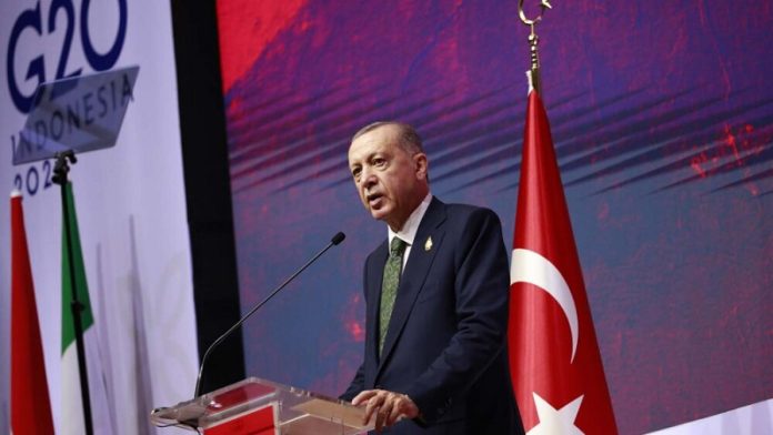 Redžep Tajip Erdogan obraća se javnosti povodom 10. godišnjice pokušaja puča u Turskoj