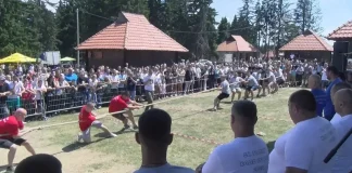 Golija sutra postaje centar Srbije: koncert i tradicija Manifestacija na planini Goliji sa tradicionalnim programom i najavom koncerta Rade Manojlović