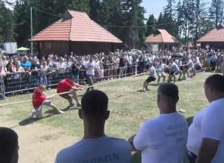 Golija sutra postaje centar Srbije: koncert i tradicija Manifestacija na planini Goliji sa tradicionalnim programom i najavom koncerta Rade Manojlović