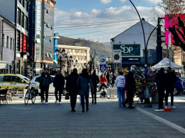 Zgrada i ulica u Novom Pazaru, ilustracija zarada i zaposlenosti