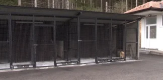 Prihvatilište u Novom Pazaru: vidljivi rezultati za manje od četiri meseca Prihvatilište za pse i mačke u Novom Pazaru i veterinarska briga o životinjama