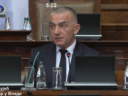 Nenad Vujić u skupštinskoj raspravi