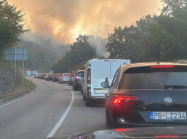 Duga kolona automobila na ulazu u Crnu Goru, uz dim sa puta.
