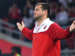Nenad Lalatović u dresu Crvene zvezde, u kontekstu priče o mogućem povratku na klupu