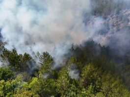 Dim i vatrogasci tokom gašenja požara u Ibarskoj klisuri kod Ušća