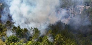 Očekuje se lokalizacija požara u Ibarskoj klisuri Dim i vatrogasci tokom gašenja požara u Ibarskoj klisuri kod Ušća