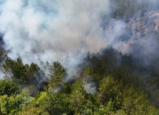 Očekuje se lokalizacija požara u Ibarskoj klisuri Dim i vatrogasci tokom gašenja požara u Ibarskoj klisuri kod Ušća