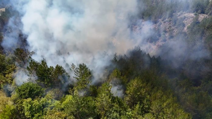 Dim i vatrogasci tokom gašenja požara u Ibarskoj klisuri kod Ušća