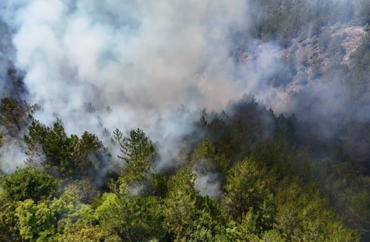 Dim i vatrogasci tokom gašenja požara u Ibarskoj klisuri kod Ušća