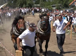 Učesnici štraparijade u Trnavi prate nadmetanje u vuči teških trupaca