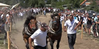 Prva štraparijada u Trnavi okupila veliki broj takmičara i posetilaca Učesnici štraparijade u Trnavi prate nadmetanje u vuči teških trupaca