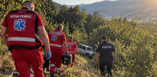 Nezgoda kod Novog Pazara: vozaču pozlilo, Niva sletela Policijske patrole i ekipa Hitne pomoći na mestu saobraćajne nezgode kod Novog Pazara